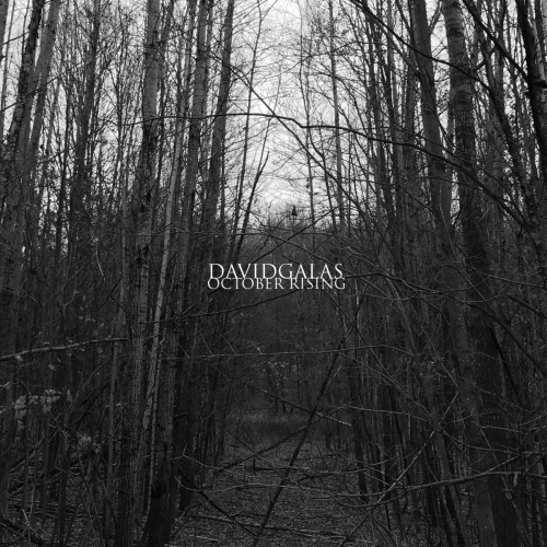 David Galas : October Rising